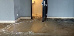 ������ ��������� ������� ����������� �� ����� � ��������